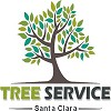 Tree Service Santa Clara